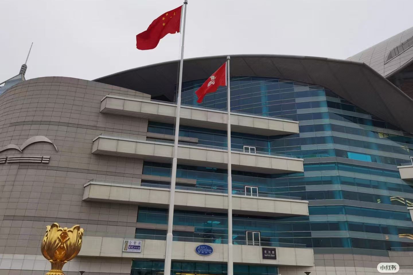 Golden Bauhinia Square